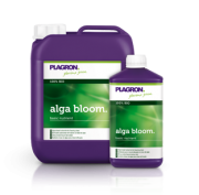 Alga-bloom